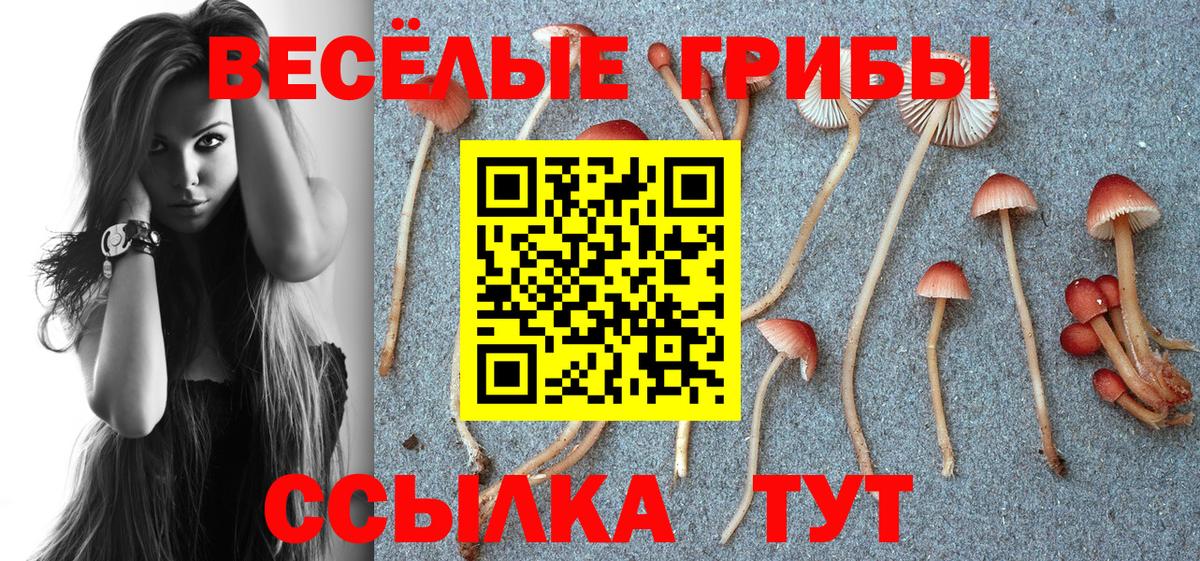 Галлюциногенные грибы MAGIC MUSHROOMS  Вход с VPN  Галлюциногенные грибы ЛСД  Барабинск 